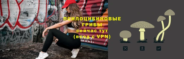 a pvp Алзамай